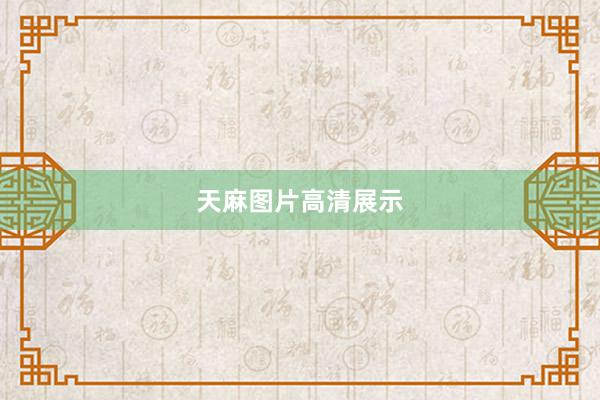 天麻图片高清展示