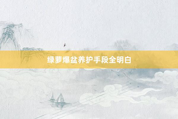 绿萝爆盆养护手段全明白